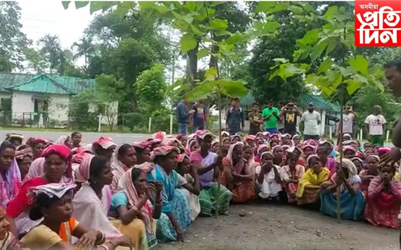 কৰম পৰবৰ দিনাই বোকাখাতৰ হাতীখুলী চাহ বাগিচাত ঝুমুৰ ন‍াচি শ্ৰমিকৰ প্ৰতিবাদ...