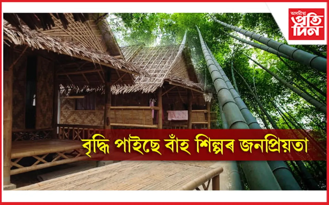 'যাৰ নাই বাঁহ, তাৰ নাই সাহ'- বিশ্ব বাঁহ দিৱসৰ বিষয়ে জানেনে...