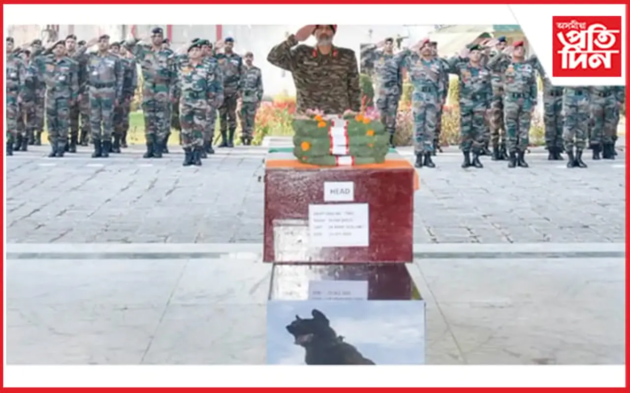 সেনা প্ৰধানৰ প্ৰাৰ্থনা বিফলে গ'ল ! সন্ত্ৰাসবাদীৰে যুঁজি ছহিদ হ'ল 'জুম'...