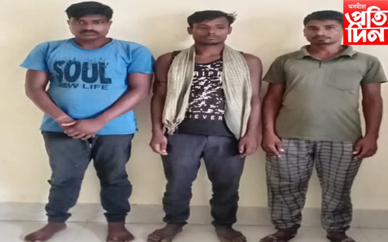 কাছাৰত জব্দ বাৰ্মিজ চুপাৰি ভৰ্তি ট্ৰাকসহ সৰবৰাহকাৰী আটক...