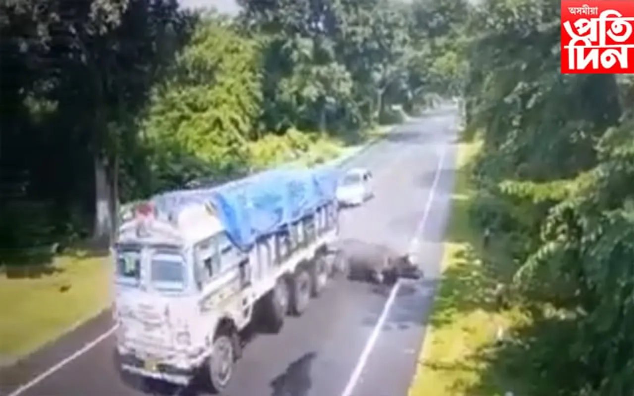 আঘাতপ্ৰাপ্ত গঁড়টোৰ নাই কোনো সন্ধান, অভিযান অব্যাহত