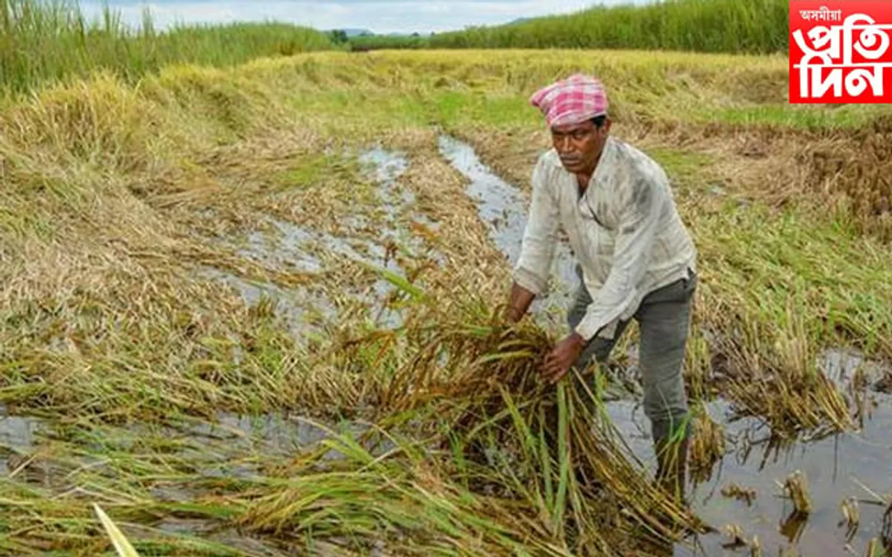 মহাৰাষ্ট্ৰত অন্ত পৰা নাই কৃষকৰ সমস্যা, ৭২ ঘন্টাত ৯ জন কৃষকৰ আত্মহত্যা...