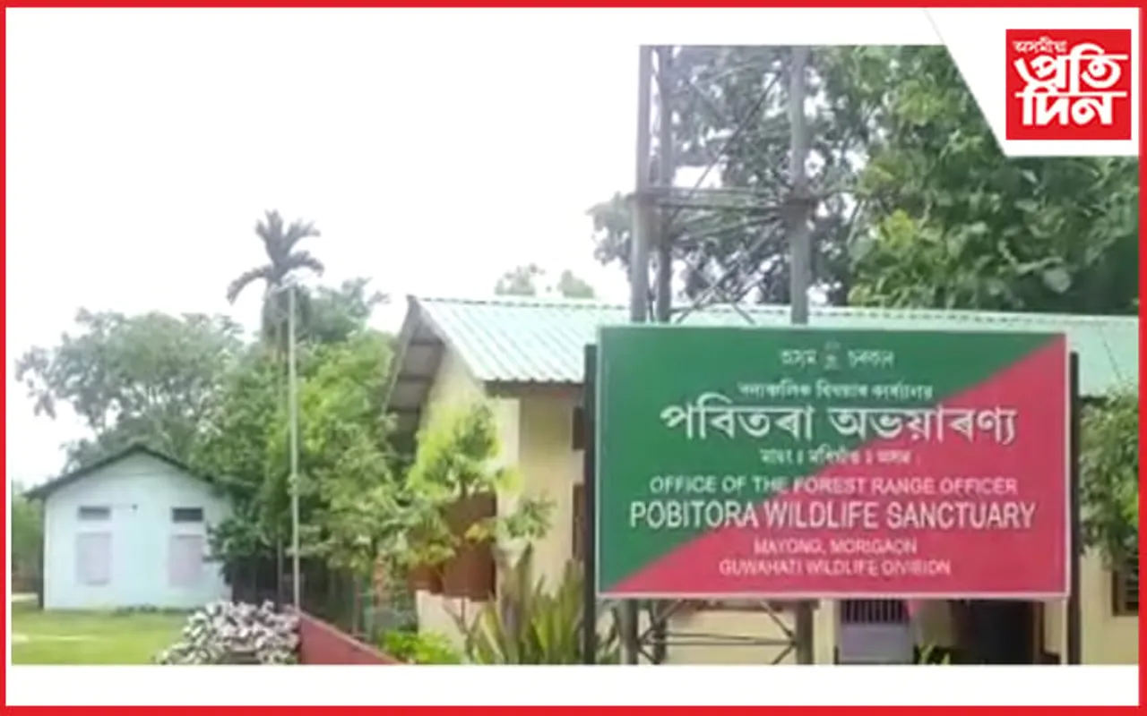মঙলবাৰৰ পৰা পৰ্যটকৰ বাবে মুকলি হ'ব পবিতৰা অভয়াৰণ্য...