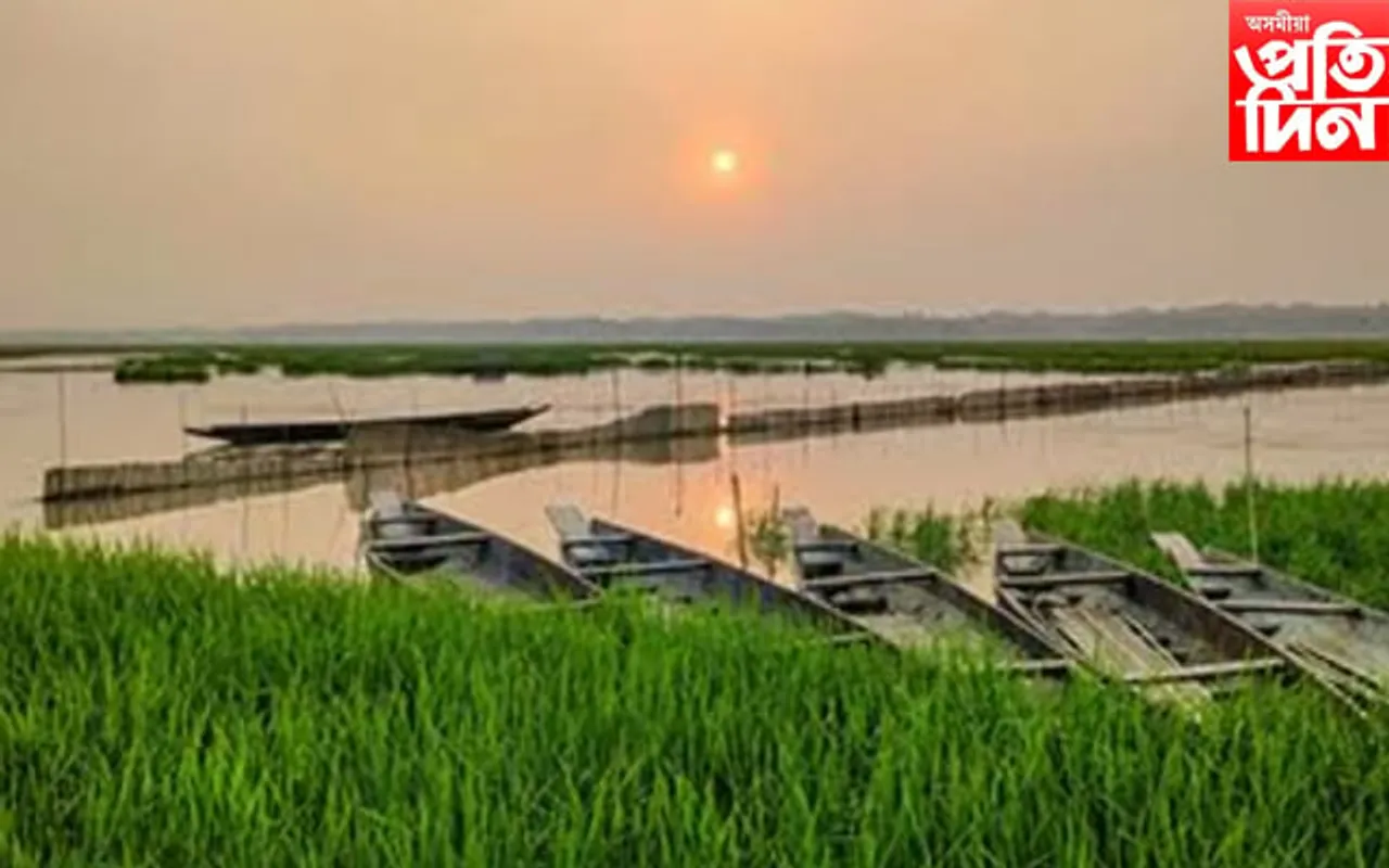 মধ্যভোগীৰ কবলত ধীৰবিলৰ অনুসূচীত জাতিৰ মাছমৰীয়া সমাজ...