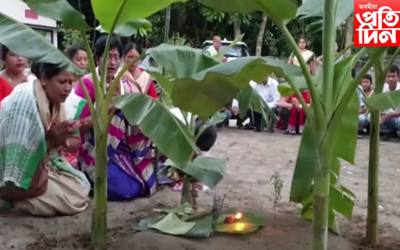 ধেমাজি কৃষি বিভাগৰ উদ্যোগত কাতি বিহু উদযাপন... 