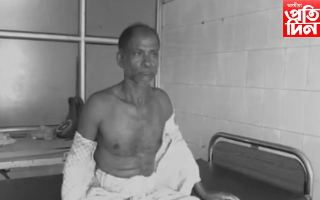 মঙলদৈত বাঘৰ আতংক, আক্ৰমণত আহত ২ জন...
