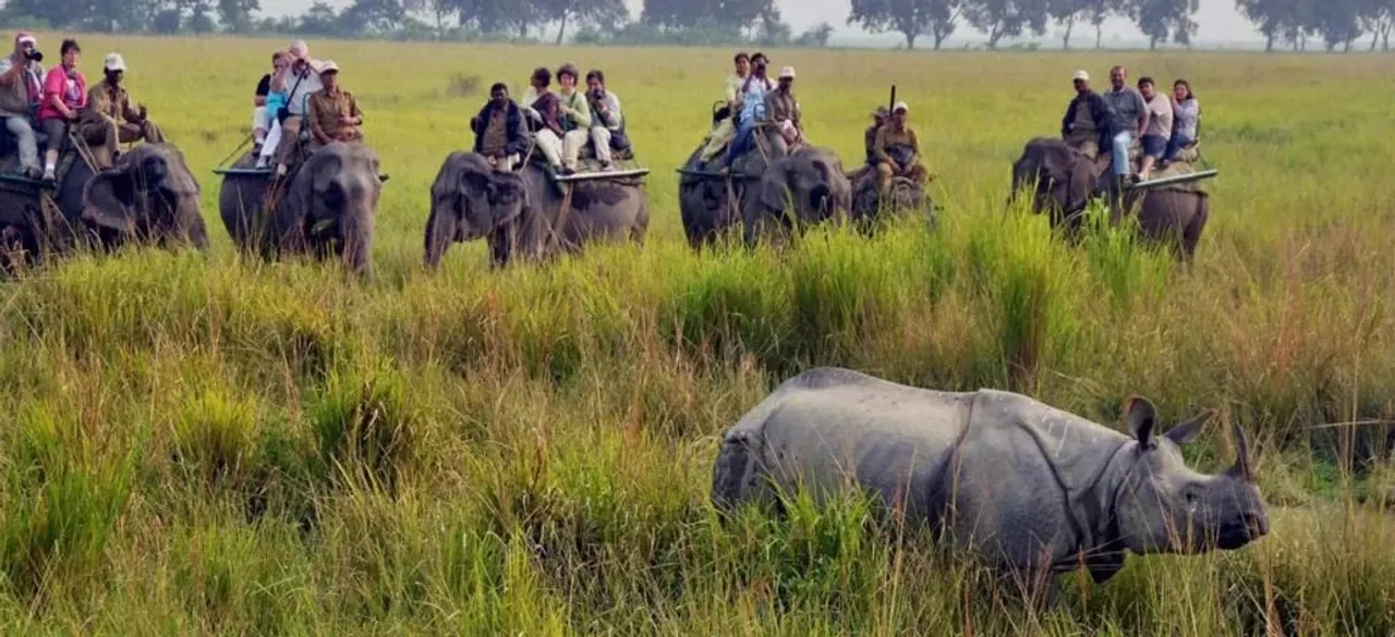 ৰাজ্যৰ চীফ ৱাইল্ড লাইফ ৱাৰ্ডেন হিচাপে সন্দীপ কুমাৰক দায়িত্ব... 