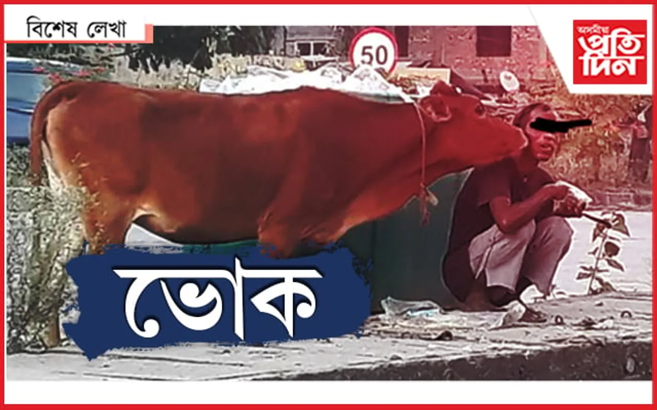 ডাষ্টবিনৰ খাদ্য গৰুৰ সৈতে ভগাই খোৱা মানুহজন...