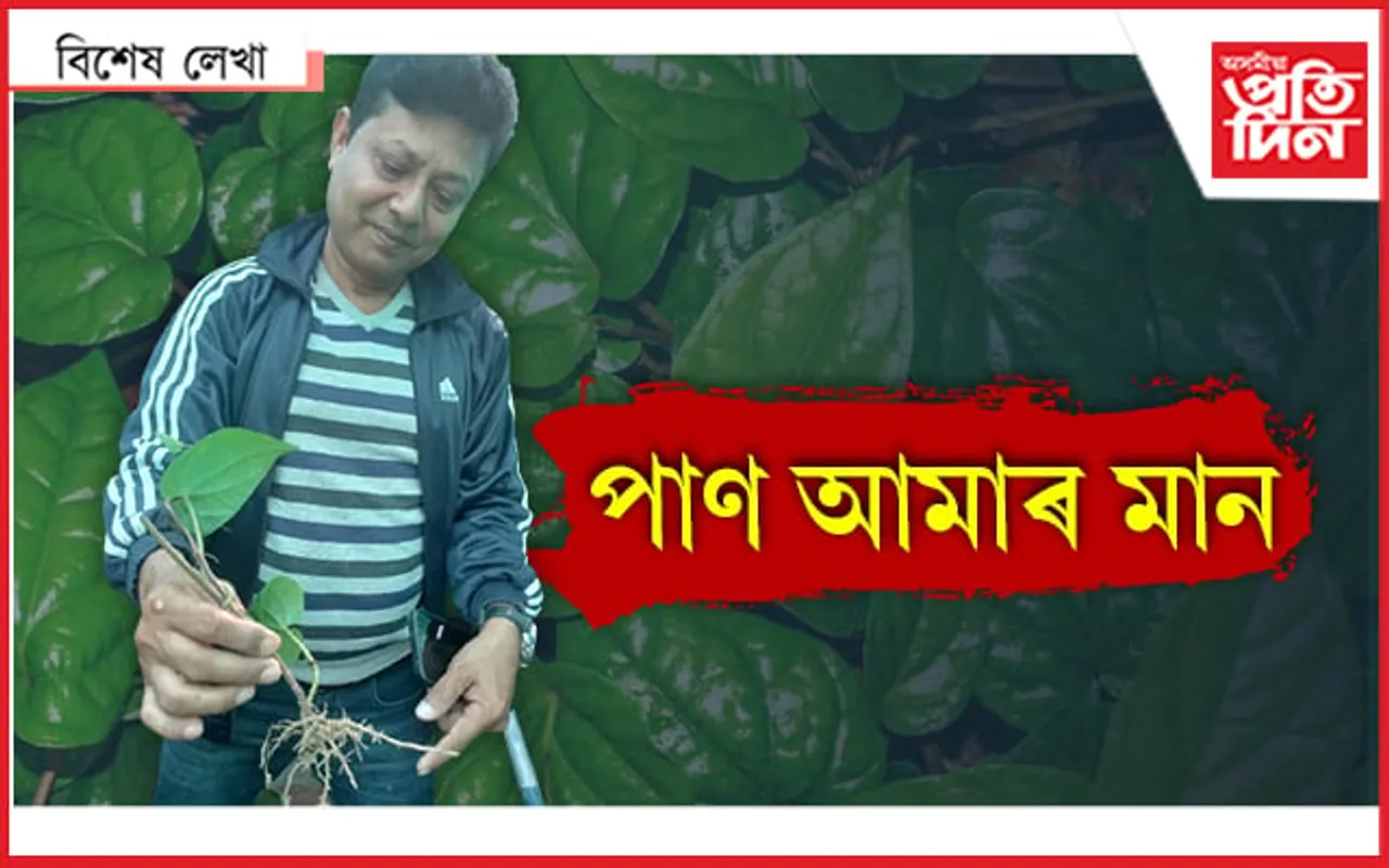 টকাৰ গছ!