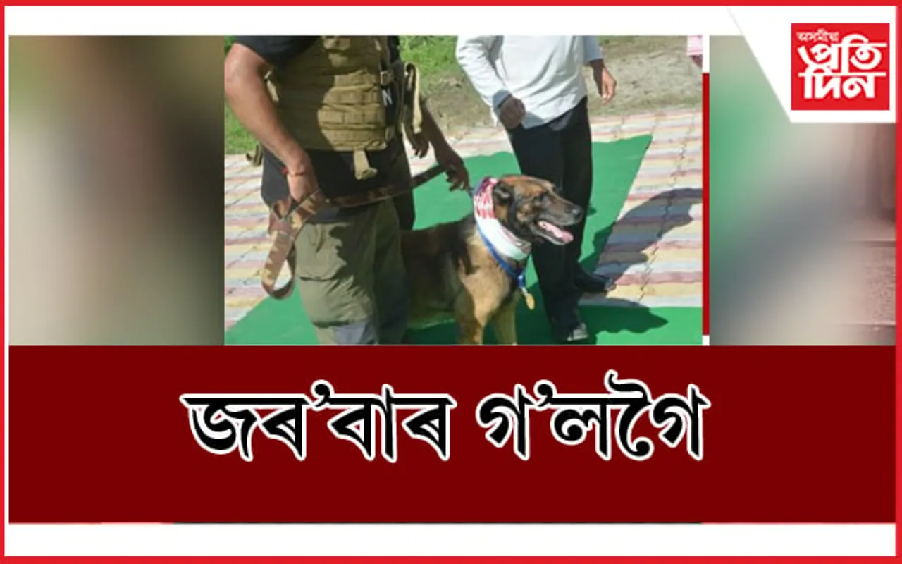 ৬০ টাতকৈ অধিক চোৰাং চিকাৰী ধৰা জৰ'বাৰ গ'লগৈ নেদেখা দেশলৈ...