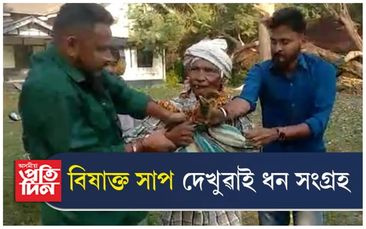 এটা বিষাক্ত সাপৰ মোনাক লৈ টনা আজোৰা...