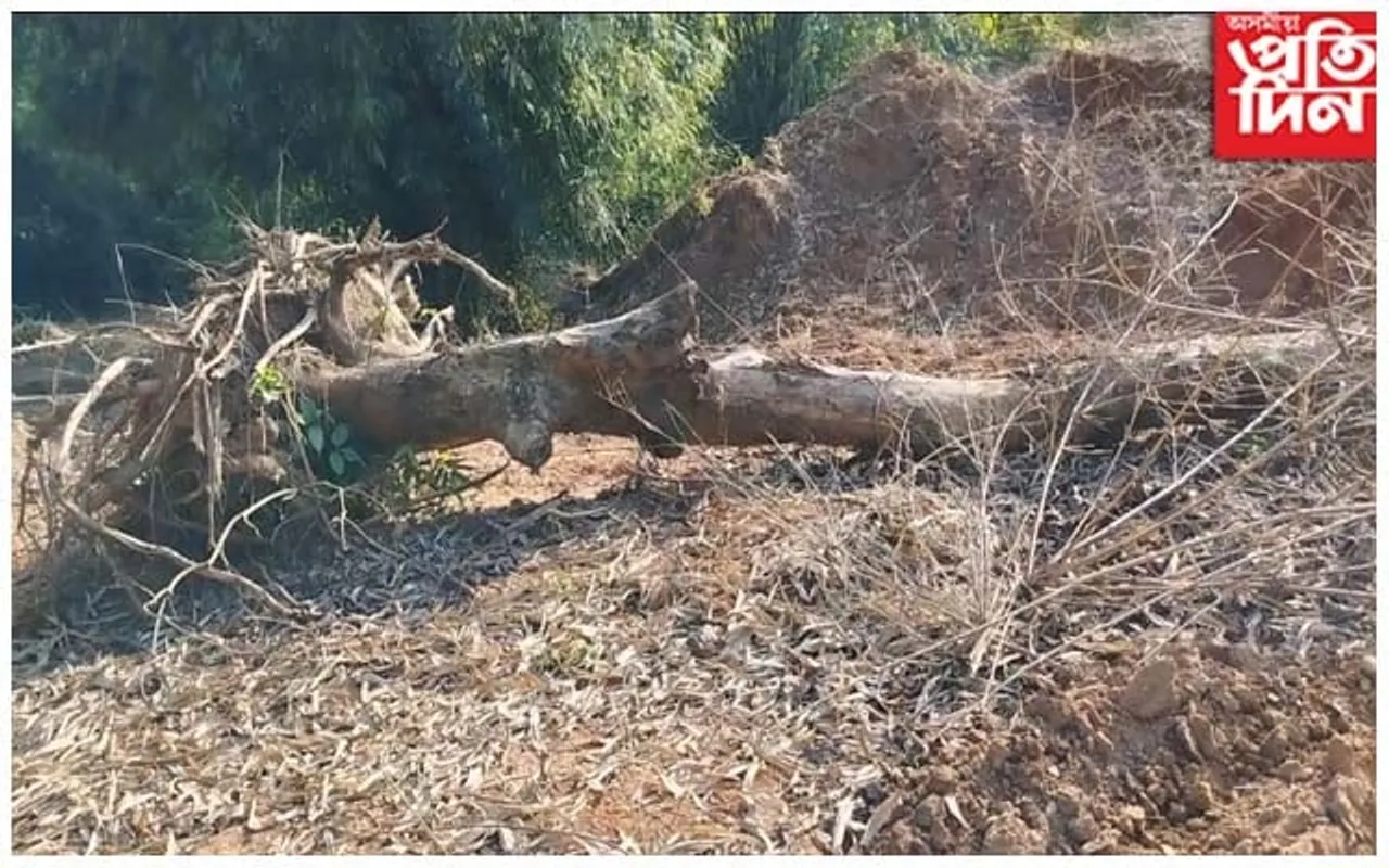 মহামায়া বনাঞ্চল ধ্বংস হ'লে লোপ পাব মহামায়া মন্দিৰৰ ঐতিহ্য: মুখ্যমন্ত্ৰীলৈ অৰণ্য সুৰক্ষা সমিতিৰ চিঠি