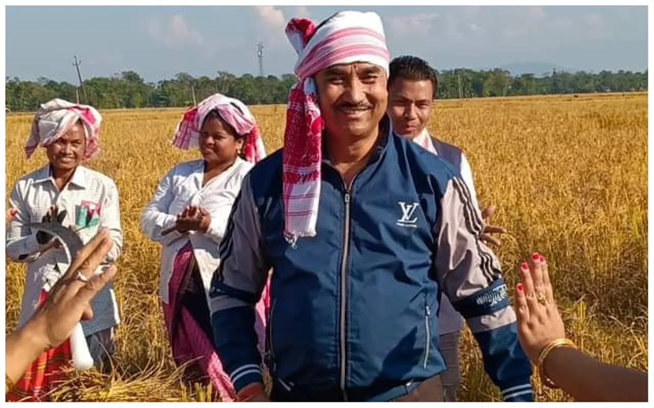 আঘোণৰ পথাৰত ধান কটাত ব্যস্ত বিধায়ক ধৰ্মেশ্বৰ কোঁৱৰ...