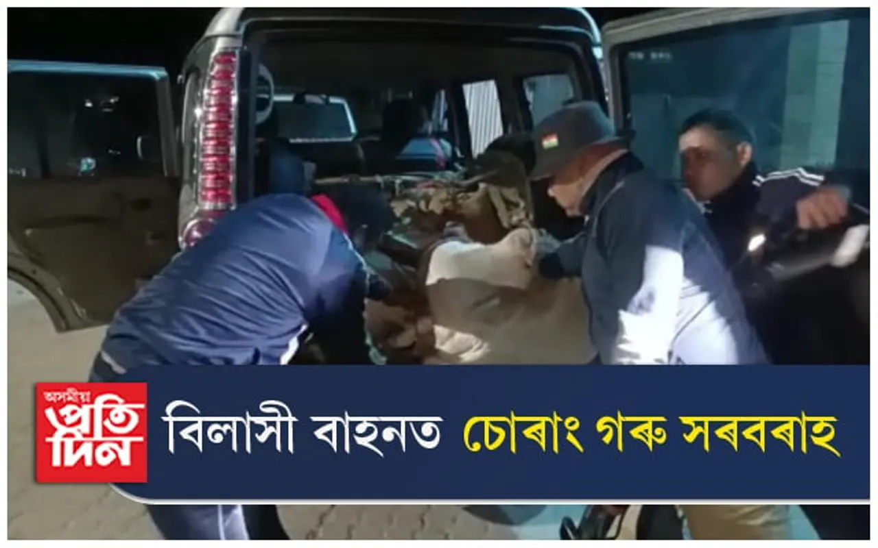 বিলাসী বাহনত মানুহক নহয়, চোৰাং গৰুকহে নিয়ে এইখন অসমত...