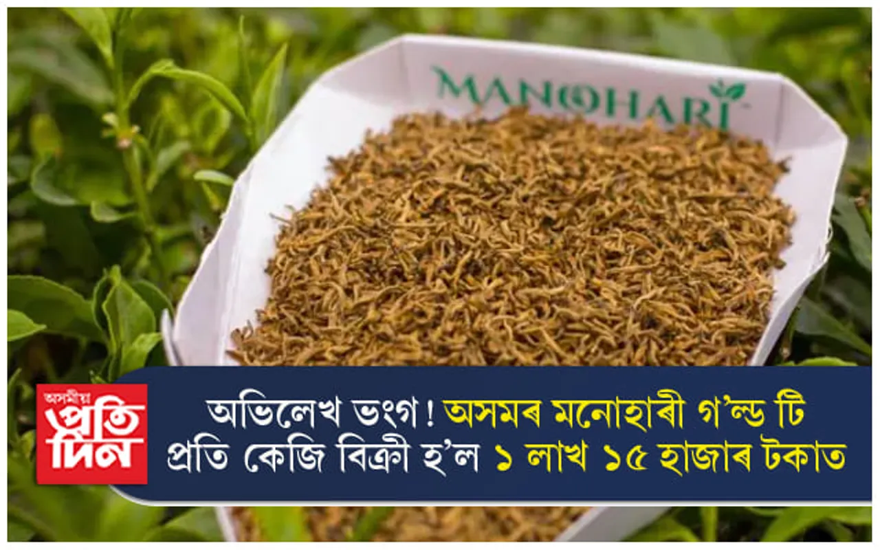 সকলো অভিলেখ ভংগঃ মনোহাৰী গ'ল্ড টি প্ৰতি কেজি বিক্ৰী হ'ল ১ লাখ ১৫ হাজাৰ টকাত... 