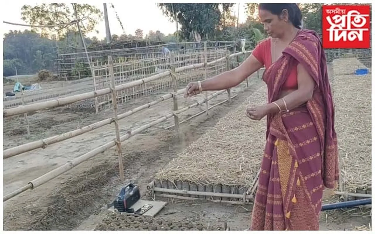 অসম অৰুণাচল সীমান্তত সীমা ৰক্ষকৰ ৰূপত এগৰাকী মহিলা