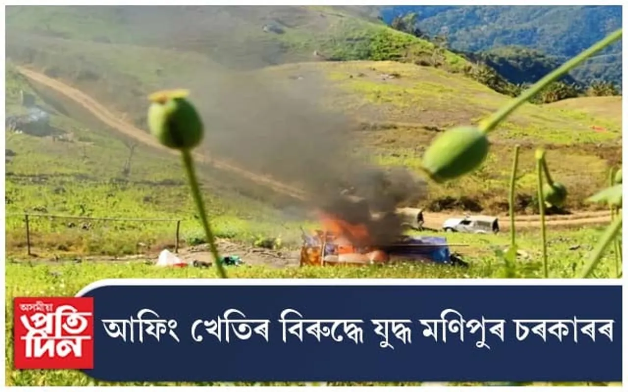 আফিং খেতিৰ বিৰুদ্ধে যুদ্ধ আৰম্ভ মণিপুৰৰ মুখ্যমন্ত্ৰী এন বীৰেন সিঙৰ 
