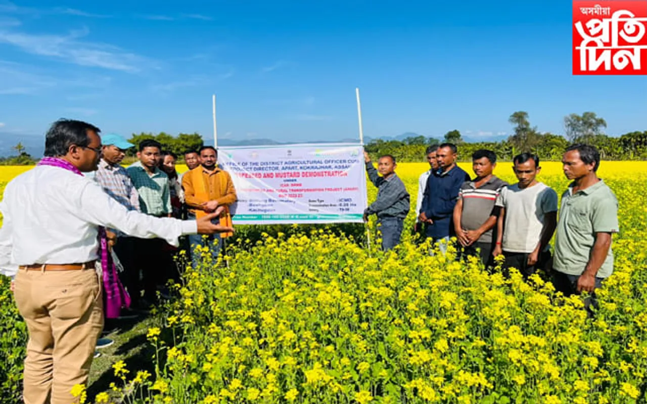 কোকৰাঝাৰত ৰাজস্থানৰ বিজ্ঞানীৰ দ্বাৰা সৰিয়হ খেতিৰ প্ৰশিক্ষণ প্ৰদান...