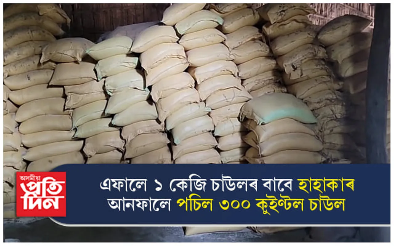 দায়িত্বহীনতা ! বাসুগাঁৱৰ গুদামতে পচিল  ৩০০ কুইণ্টল চাউল...