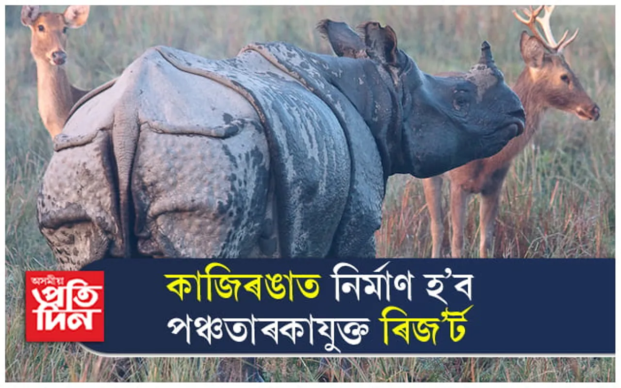 কাজিৰঙাৰ পৰ্যটন ক্ষেত্ৰত নতুন সংযোজন ! নিৰ্মাণ হ'ব পঞ্চতাৰকাযুক্ত ৰিজ'ৰ্ট...