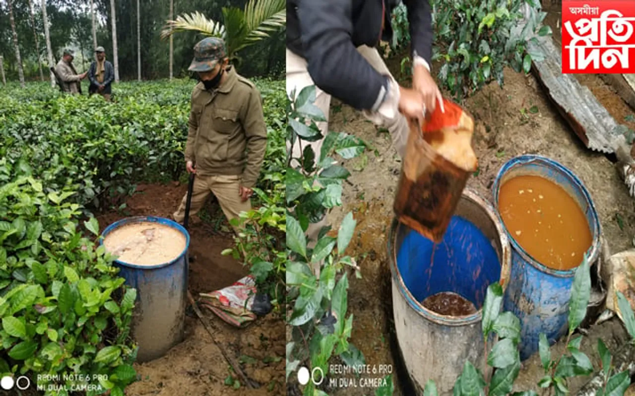 অবৈধ সুৰাৰ বিৰুদ্ধে তিনিচুকীয়া আবকাৰী বিভাগৰ অভিযান