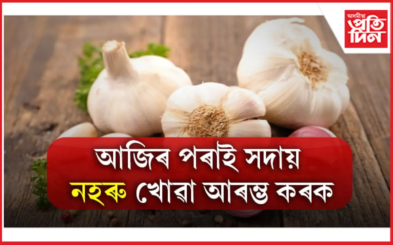 Garlic Health Benefits: কেৱল উচ্চ ৰক্তচাপৰ বাবেই নহয়, আৰু বহু কাৰণত অতি উপযোগী নহৰু