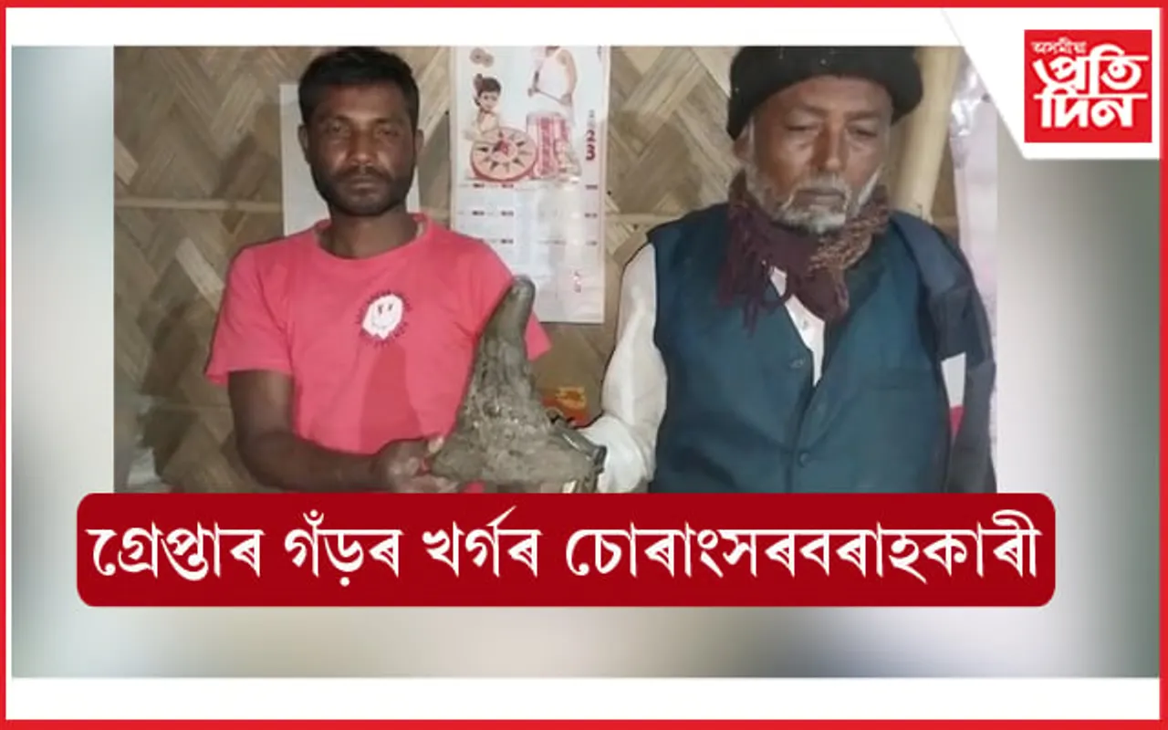 কলিয়াবৰত গ্ৰেপ্তাৰ দুই গঁড়ৰ খৰ্গ চোৰাং সৰবৰাহকাৰী... 