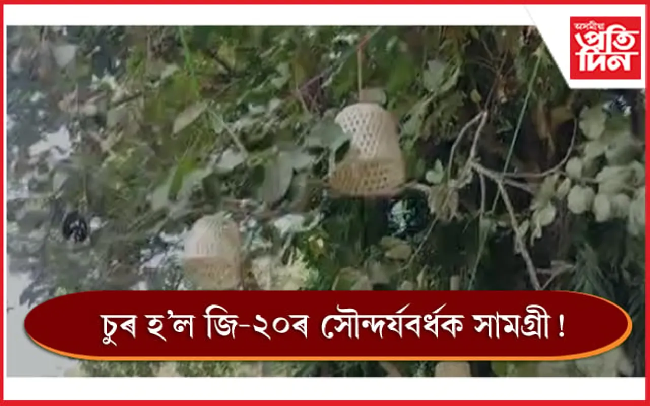 সন্মুখত জি-২০, দুৰ্বৃত্তই নিলে সৌন্দৰ্যবৰ্ধকৰ সামগ্ৰী...