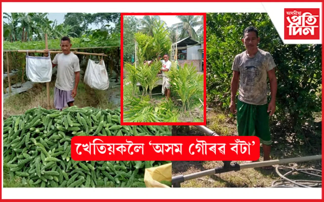 কপালৰ ঘাম মাটিত পেলাই সেউজীয়াৰ সপোন দেখা খেতিয়কলৈ 'অসম গৌৰৱ বঁটা'