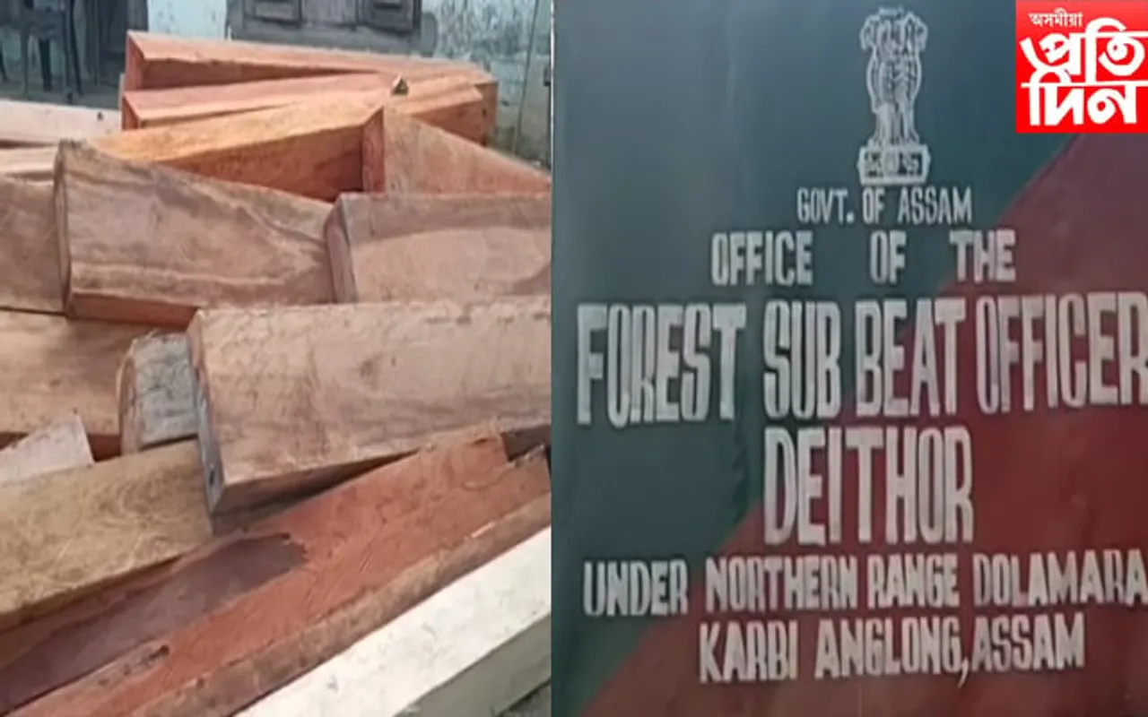 কাৰ্বি পাহাৰত বন দস্যুৰ দপ-দপনি