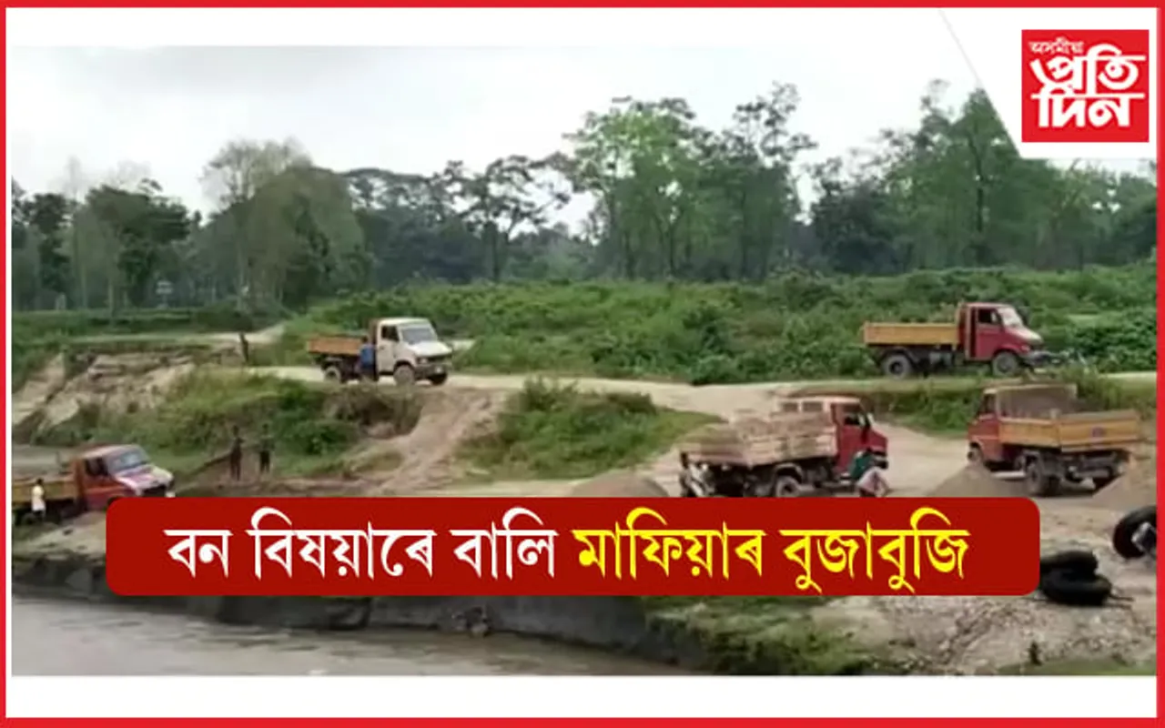 কোটি কোটি টকাৰ ৰাজহ ফাঁকিৰে দৈগ্ৰোং নদীত বালিৰ অবৈধ খনন...