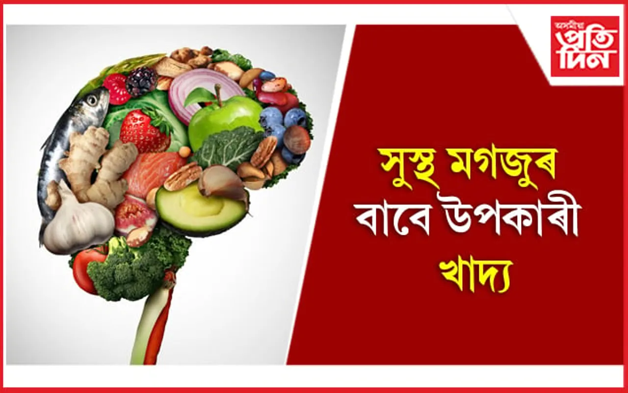 Foods to Boost Your Brain: দুৰ্বল স্মৃতিশক্তিৰ গৰাকীয়ে এইসমূহ খাদ্য খাওঁক