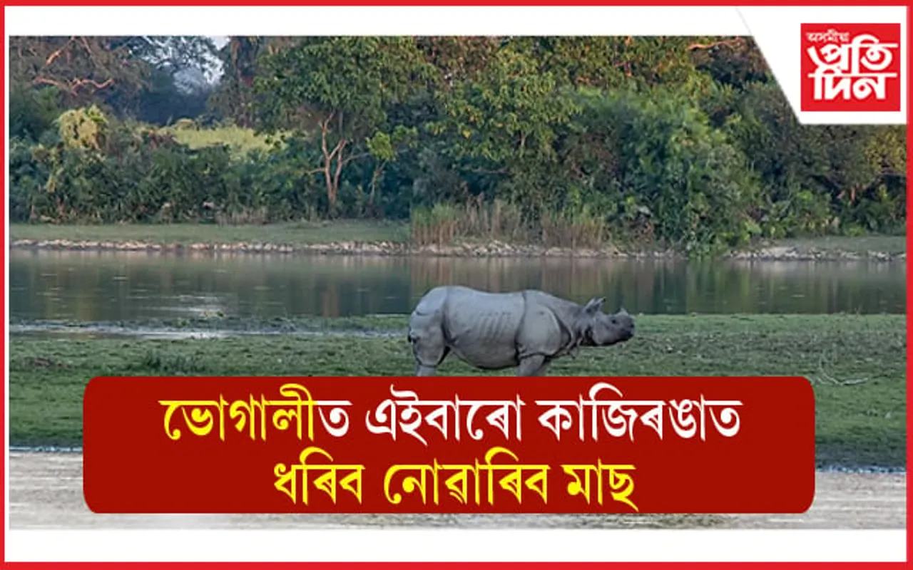 এইবাৰো মাঘ বিহুত মাছ ধৰিব নোৱাৰিব কাজিৰঙাত : ১৪৪ ধাৰা জাৰি...