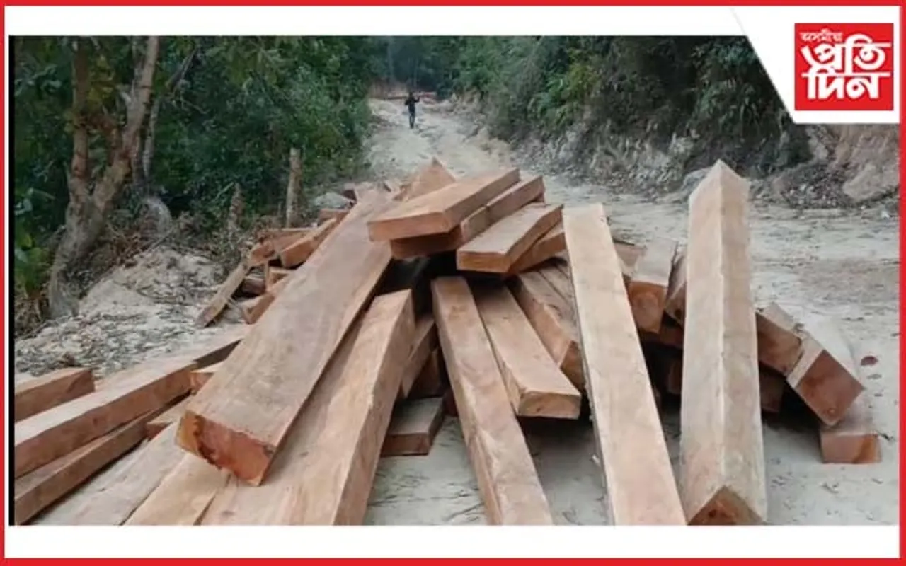 বনদস্যুৰ কবলত কাজিৰঙা ৰাষ্ট্ৰীয় উদ্যানৰ দক্ষিণৰ কাৰ্বি পাহাৰ
