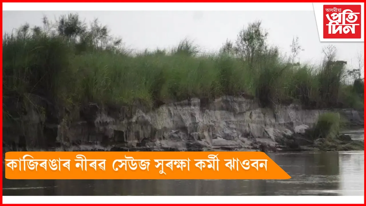 কাজিৰঙাৰ সেউজ সেনানীৰ ৰূপত ঝাওবন