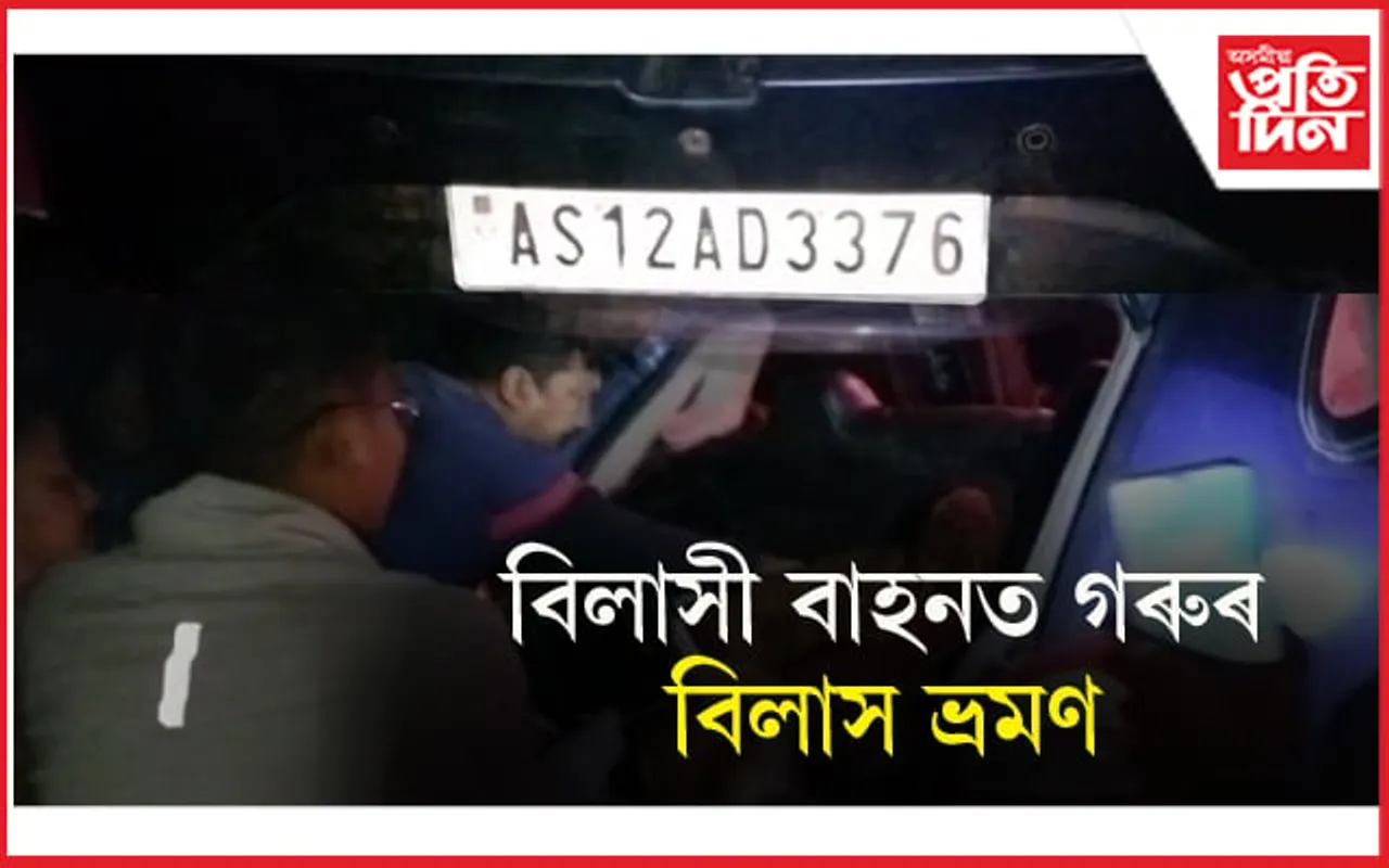 বিলাসী বাহনত গৰুৰ বিলাস ভ্ৰমণ ! দুৰ্ঘটনাত পতিত হোৱাৰ পিছত ওলাল উৰহী গছৰ ওৰ...