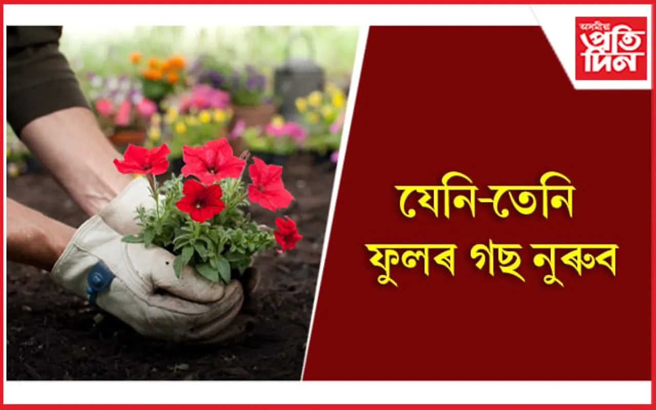 অজানিতে কৰা ভুলে আপোনাৰ জীৱনলৈ মাতিব পাৰে অন্ধকাৰ