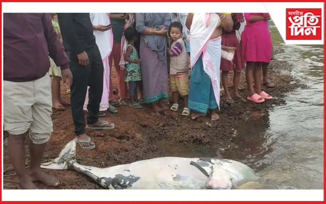 ছয়গাঁৱৰ কলহী নদীত মৃত শিহু উদ্ধাৰ