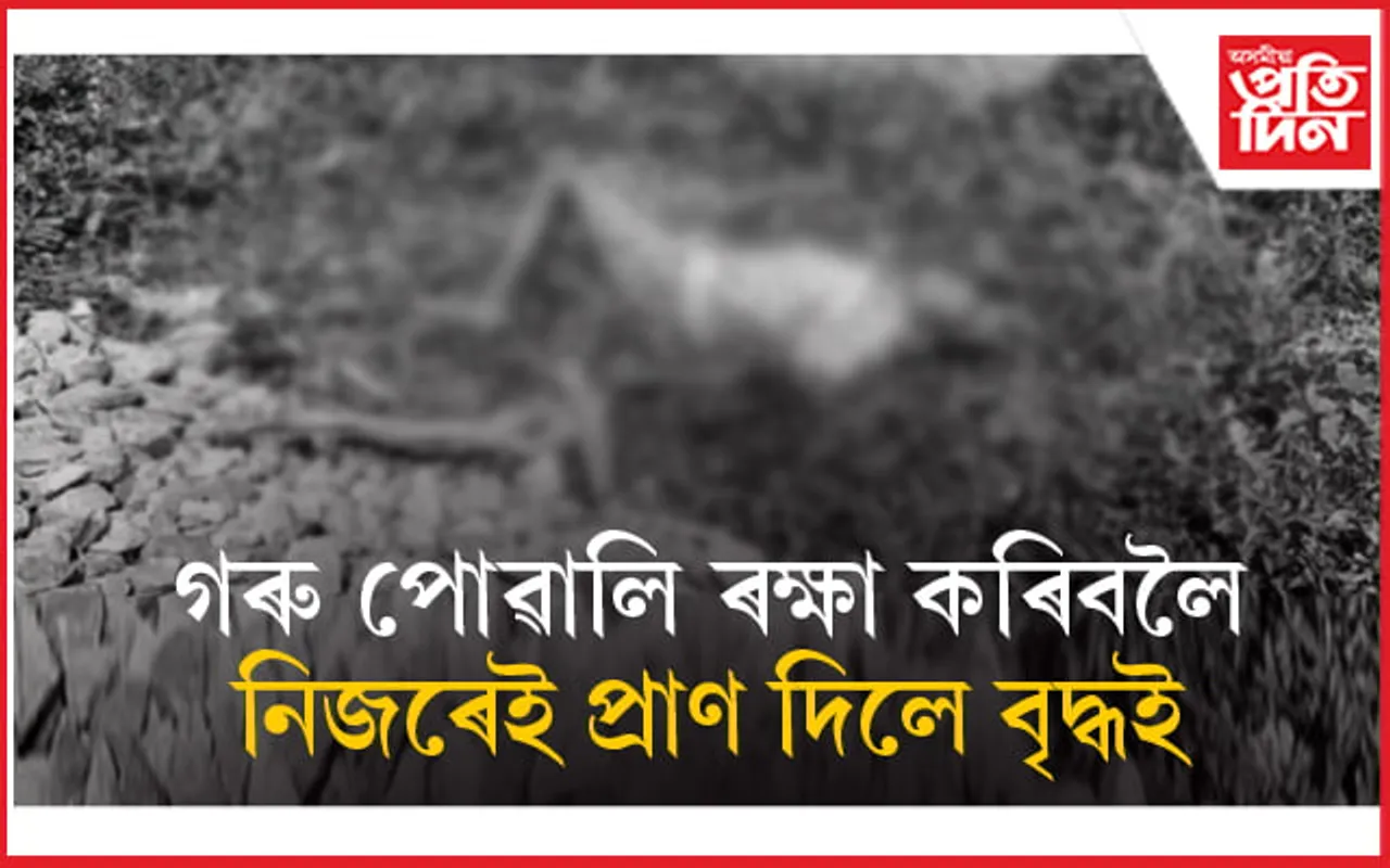 ৰে'ল আলিত আবদ্ধ গৰু পোৱালি উদ্ধাৰ কৰিবলৈ গৈ নিহত বৃদ্ধ...