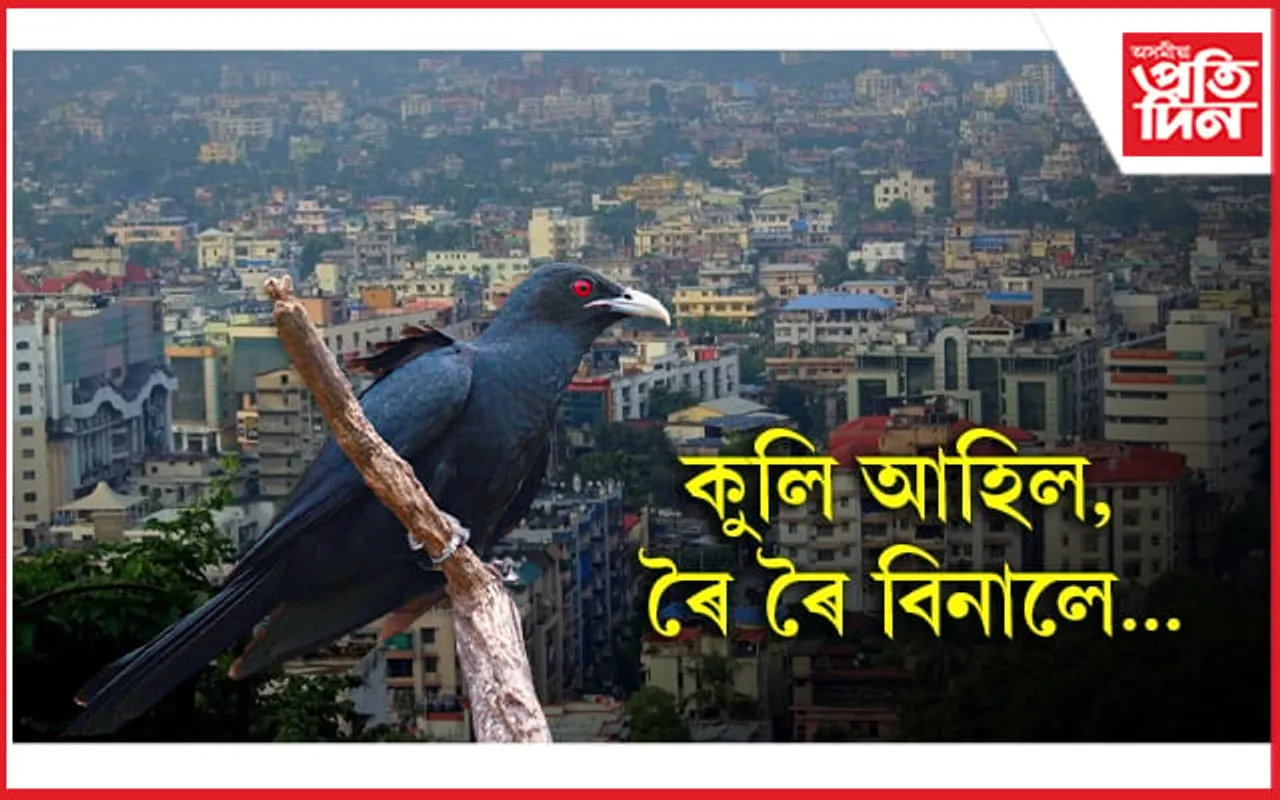 বিহুলৈ কিমান দিন ? মহানগৰীত কুলিৰ মাত...