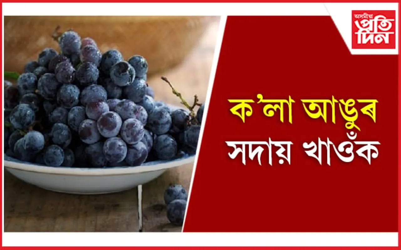 বহু ৰোগৰ বাবে আৰ্শীবাদ ক'লা আঙুৰ