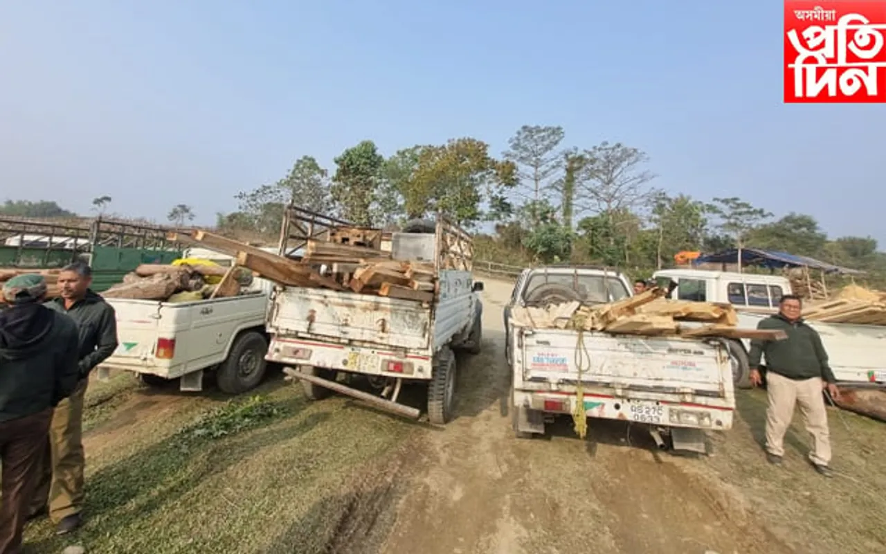  SSB ৰ অভিযান বৃহৎ পৰিমাণৰ কাঠসহ অবৈধ কাঠৰ মিল জব্দ...