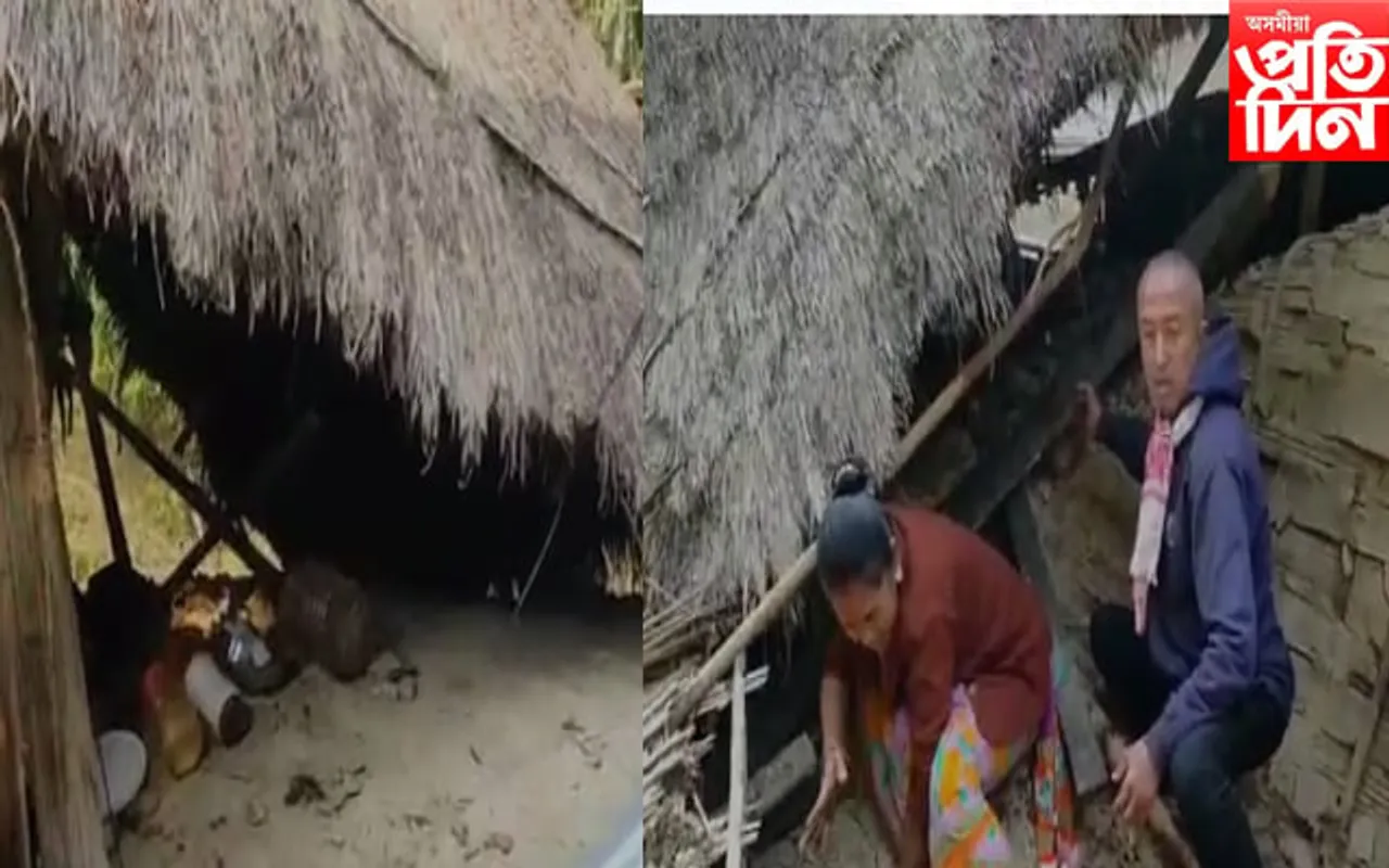বন্য হস্তীৰ তাণ্ডৱ!  ভাঙি পেলালে  দৰিদ্ৰ পৰিয়ালৰ বাসগৃহ