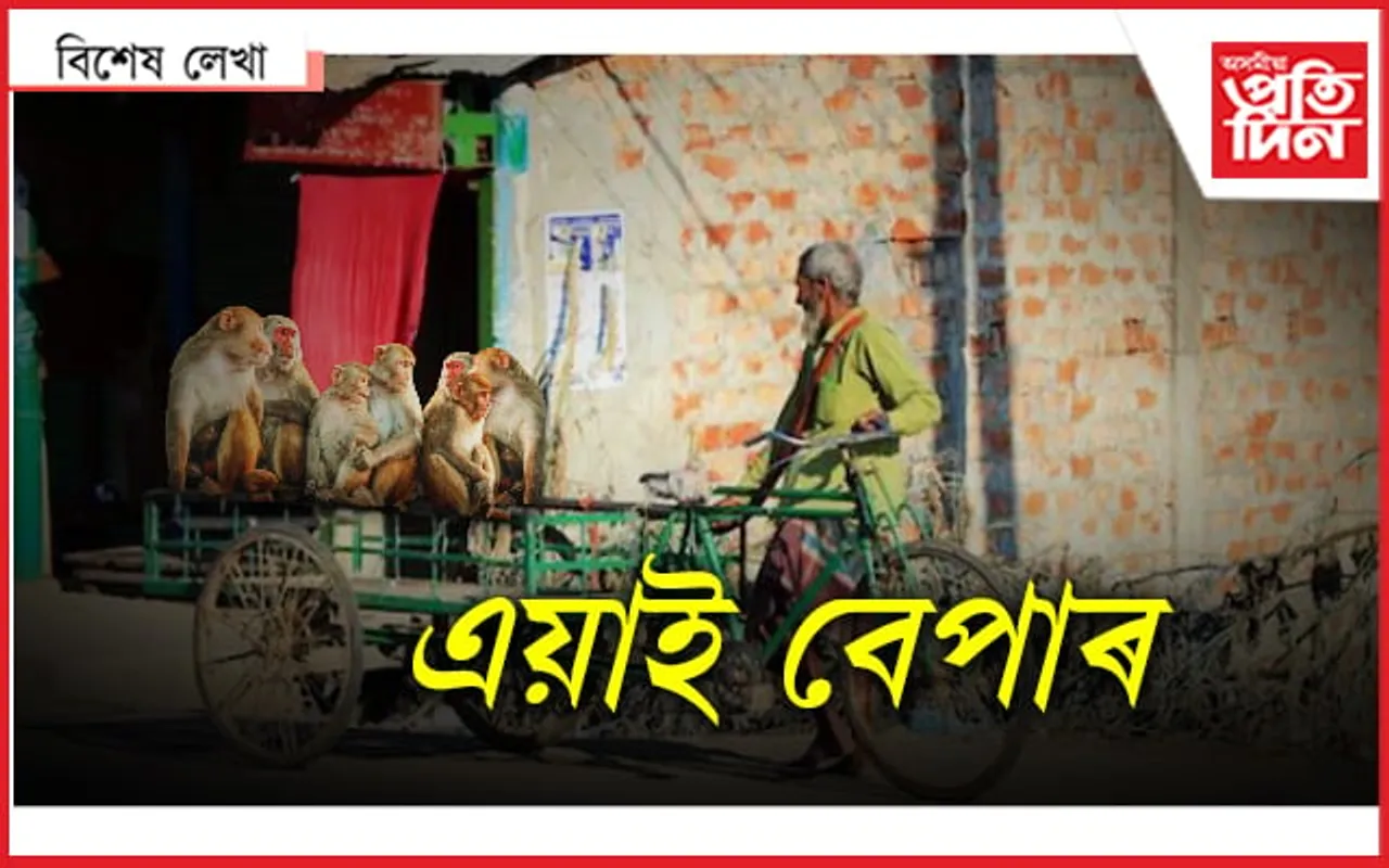 বান্দৰ আৰু আদানীৰ কাহিনী...