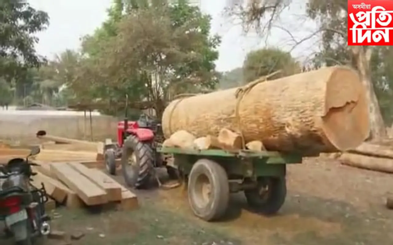চিৰাঙৰ ভাৰত-ভূটান সীমান্তৰ সংৰক্ষিত বনাঞ্চলত বন ধ্বংস অব্যাহত