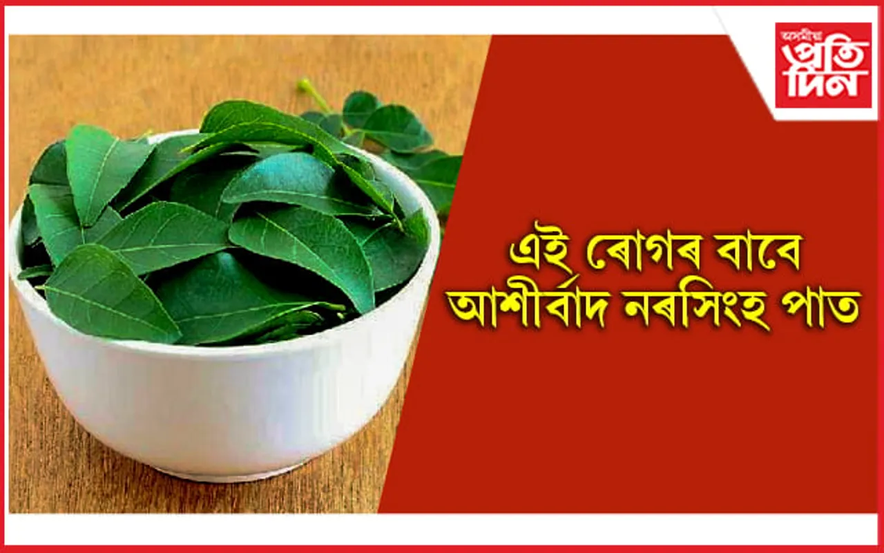 আপুনি এলাগী কৰা এই বিধ পাত প্ৰকৃততে মহষৌধ
