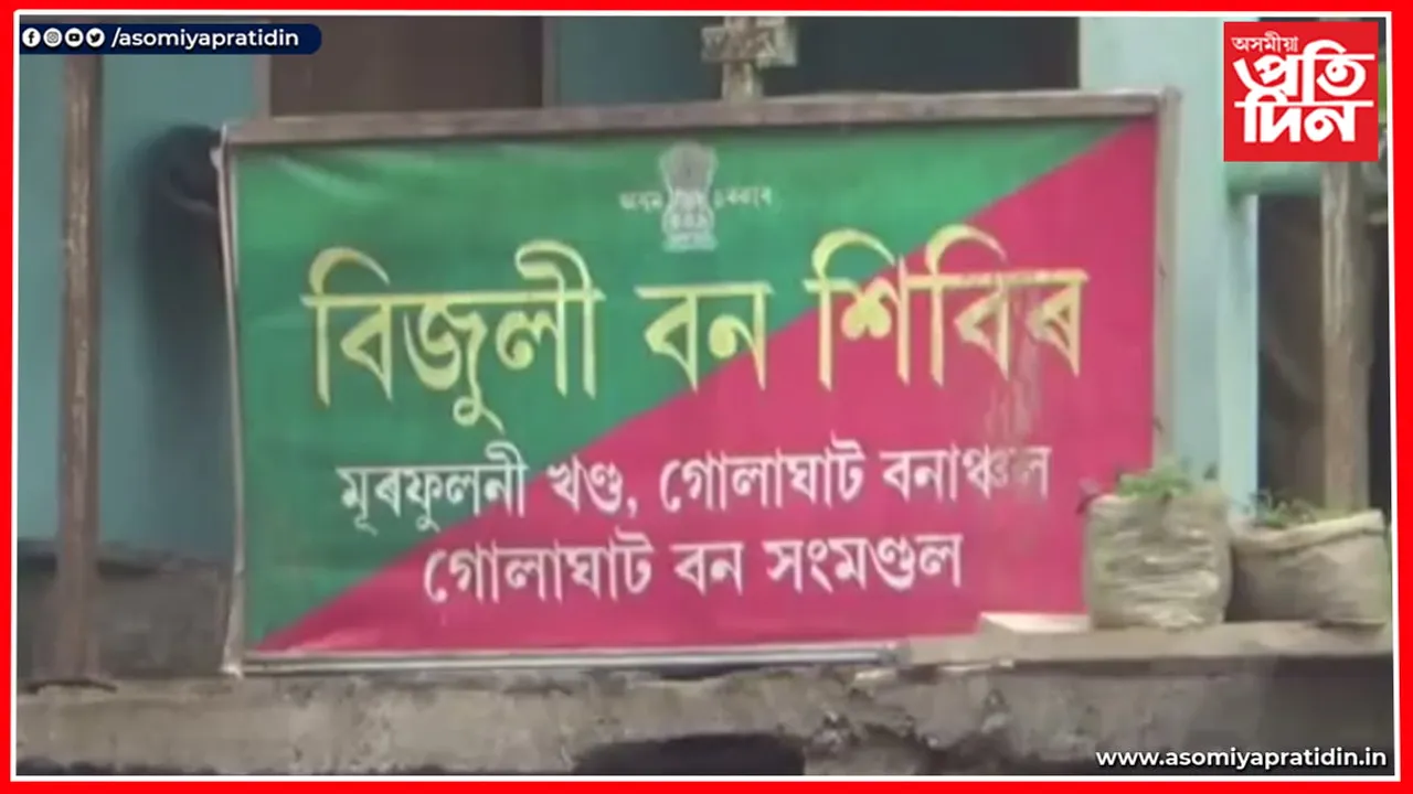 গোলাঘাট জিলা বন বিভাগৰ আজব কাণ্ড!