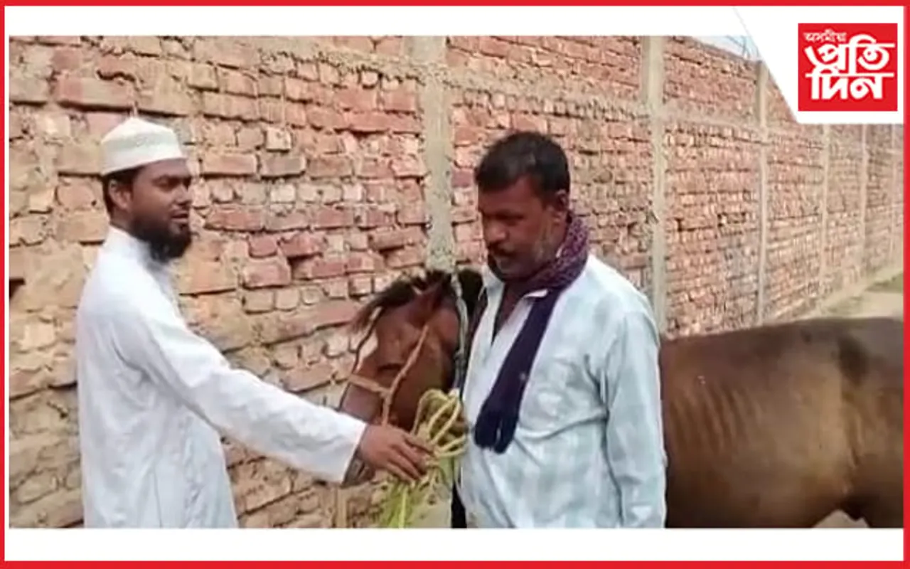 বাতৰিৰ প্ৰভাৱঃ চিলংনীৰ পৰা গৰাকীয়ে ওভতাই নিলে নিৰুদ্দেশ হোৱা ঘোঁৰা