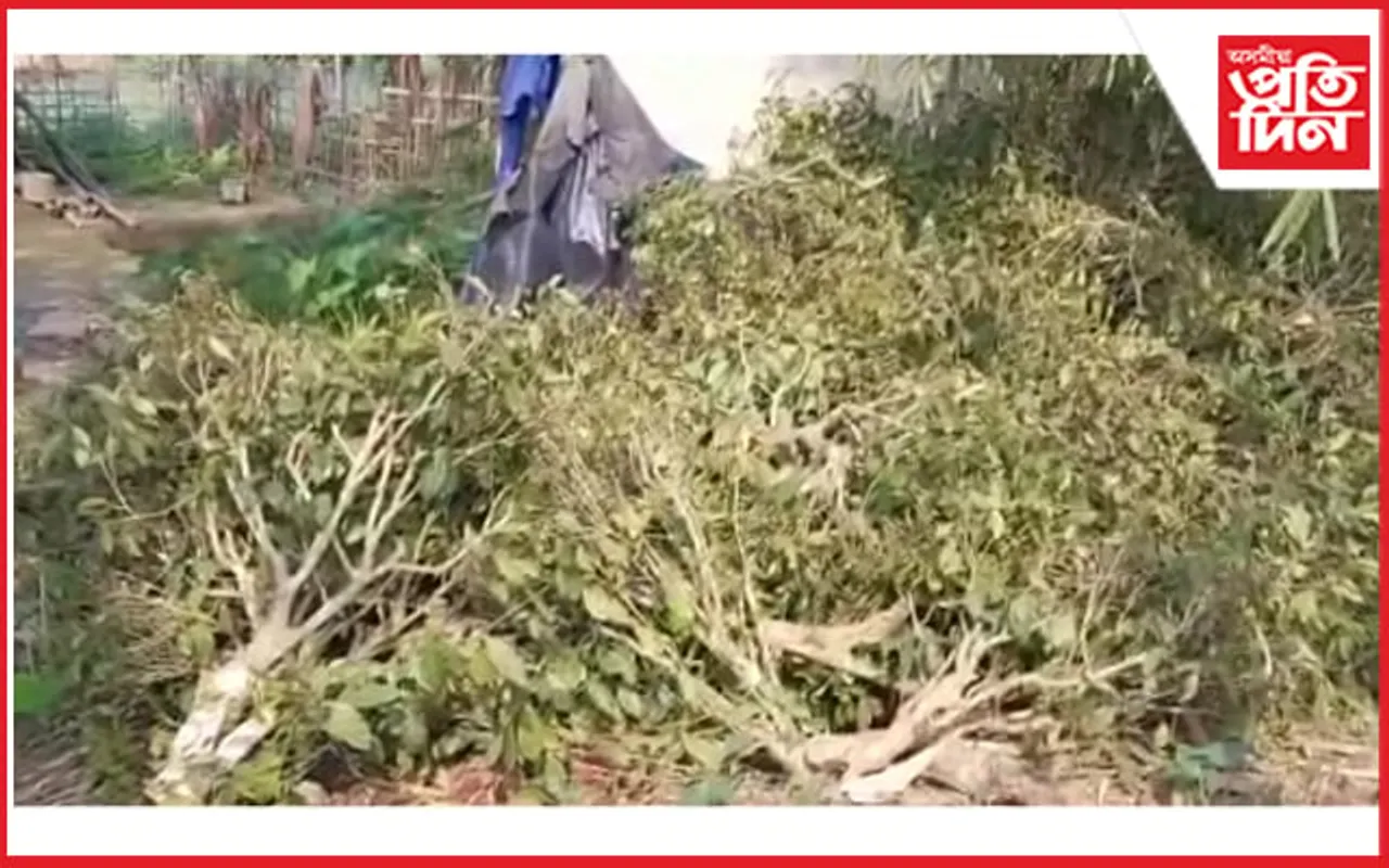 শুকানপুখুৰী চাহ বাগিচাৰ ব্যৱস্থা গ্ৰহণৰ দাবীত তিনিচুকীয়া জিলা উপায়ুক্তক স্মাৰক-পত্ৰ চাহ জনগোষ্ঠী জাতীয় মহাসভাৰ