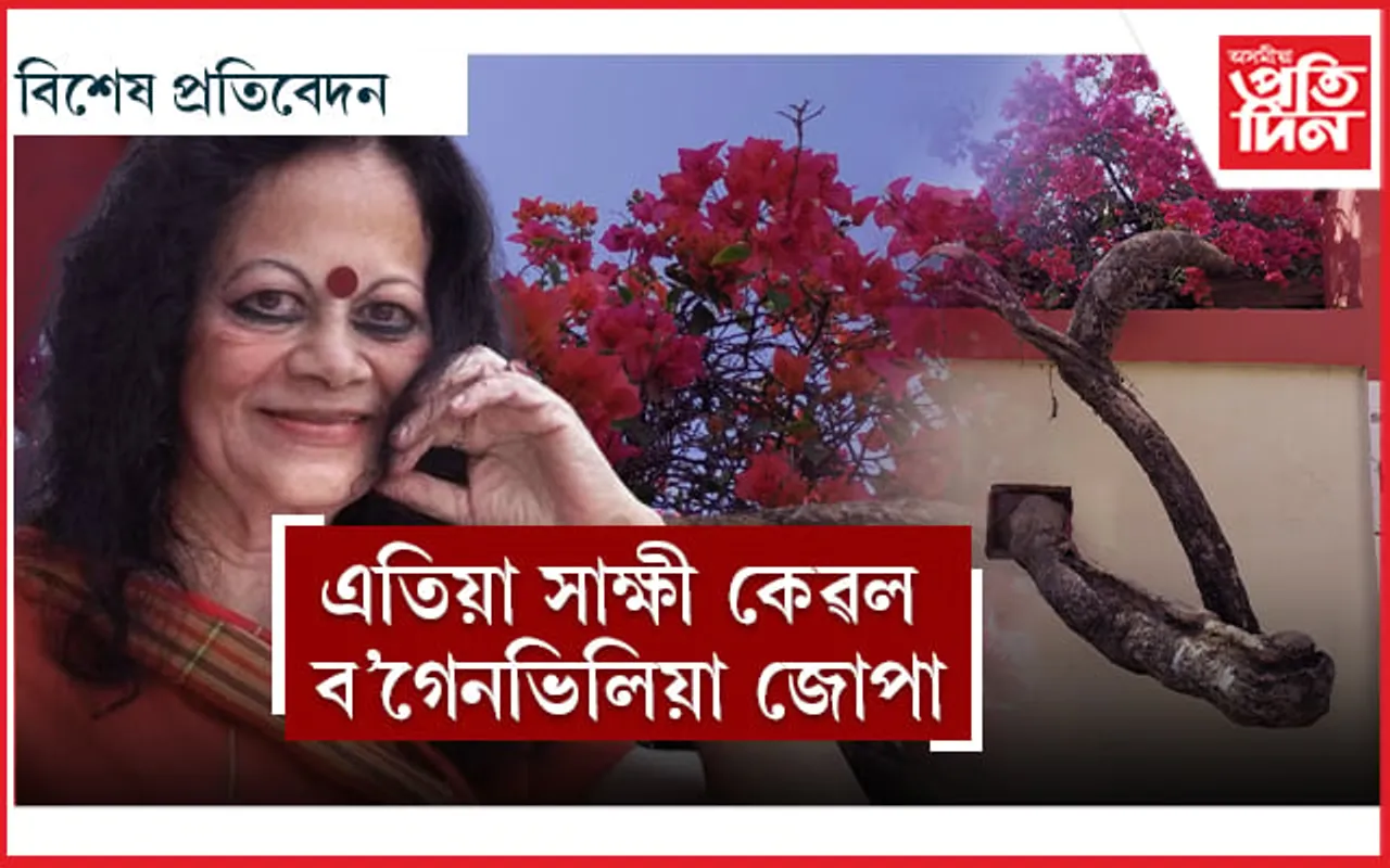 যি বাটেৰে মামনি ৰয়চম আহিছিল, সেই বাটতেই ফাগুন নামে...